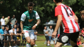 forbal kadlec priprava zizkov